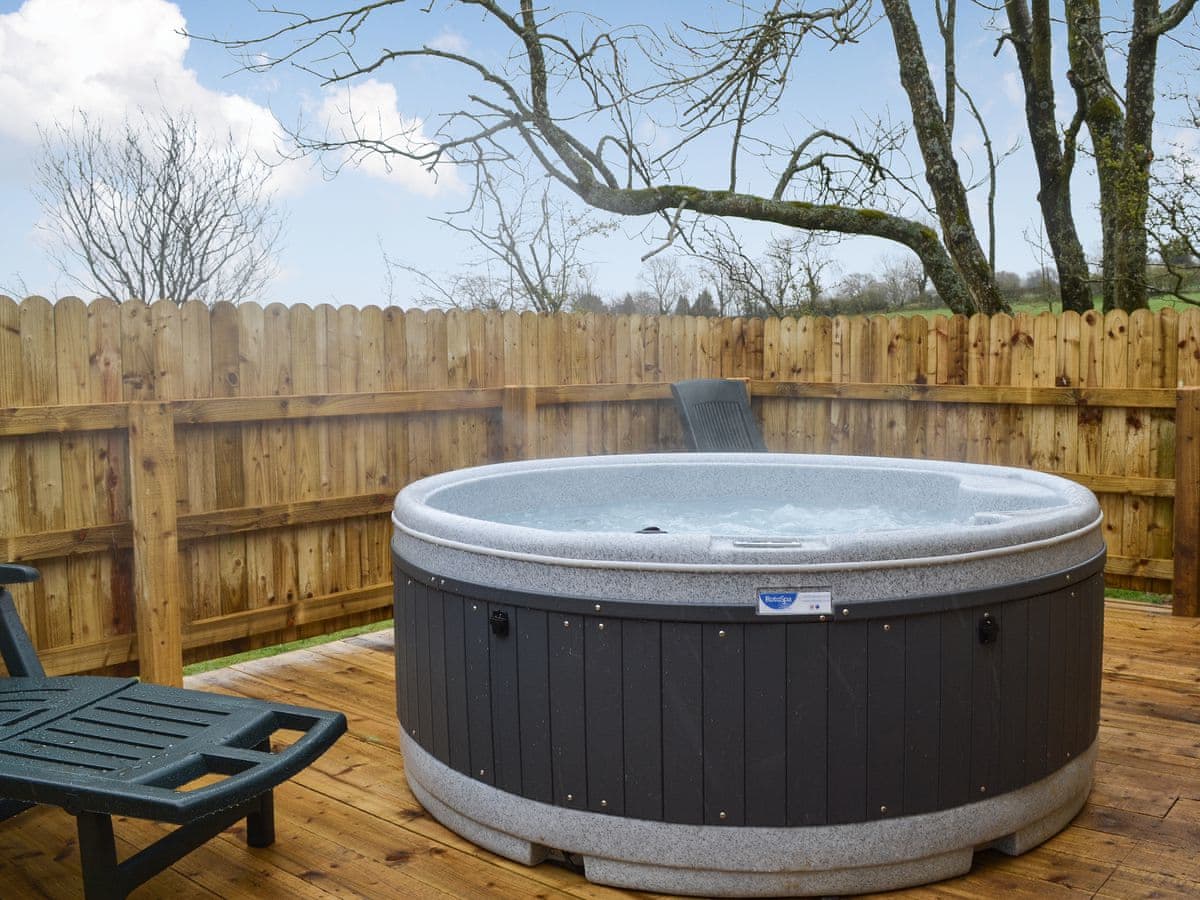 Wallace Lane Farm Cottages - Osprey Lodge - Holiday lodge in North West England - Image 2