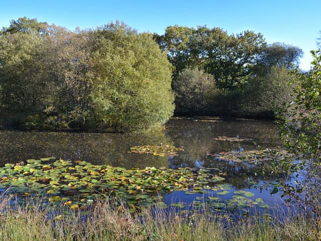 Orchard Keepers Cottage Ref W44274 In East Chilla Near Halwill