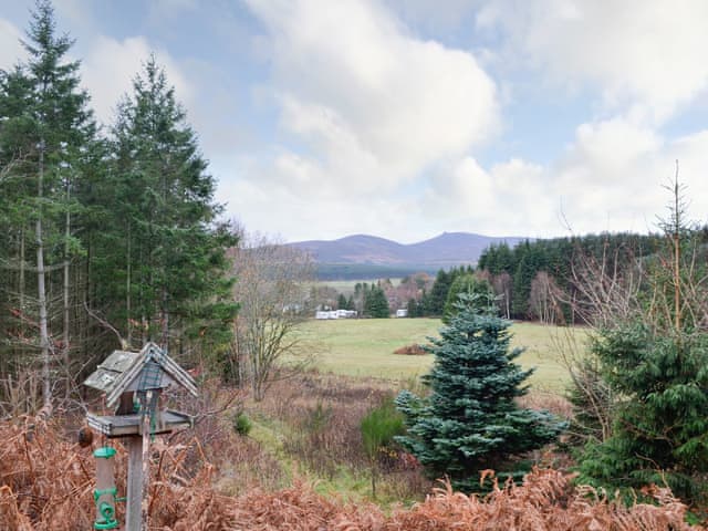Birchland Park Lodge Ref 17329 In Strachan Near Banchory