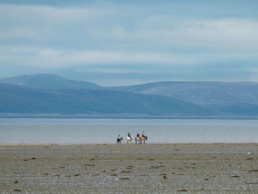 Dog and horse friendly beach | Garden Cottage, Tain