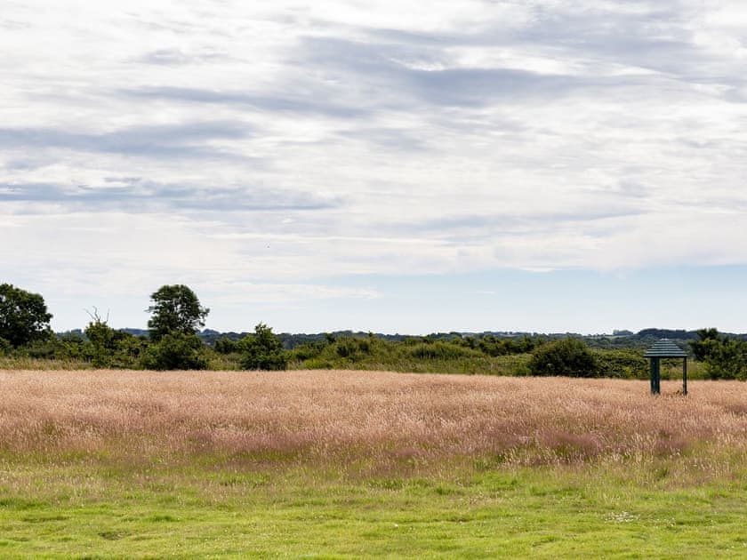 View | Olive - Buttercup Barn Retreats, Wootton Bridge