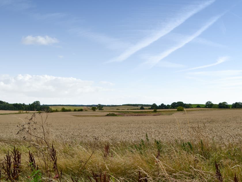 Unobstructed views | Little Barn - Tynely Farm, Tynely, near Embleton