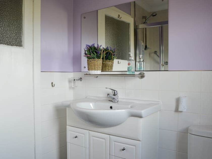 Shower room | Brae Cottage, Mabie, near Dumfries