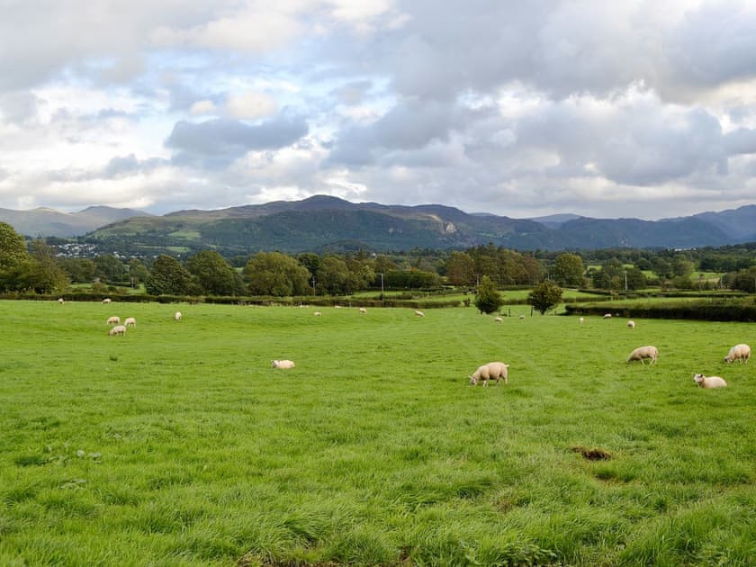 Green fields and rugged Lakeland fells | Skiddaw - Lake View Shepherds Huts, Millbeck, near Keswick