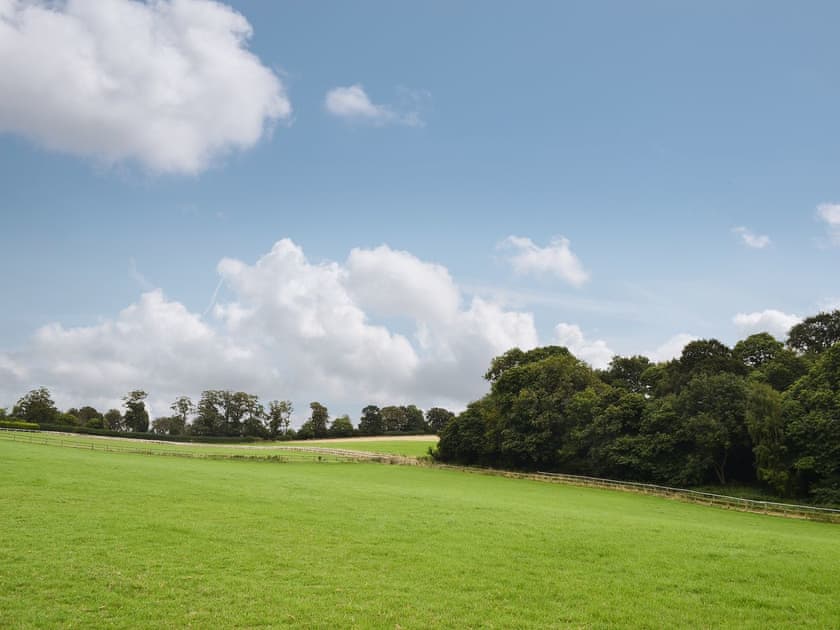 Far reaching views over the rolling countryside | Swallows, Tawny Owls - Tawny Owls and Swallows, Godstone