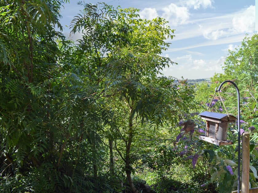 Glimpses of the Peak District through the trees | Wood Cottage, Buxworth, High Peak