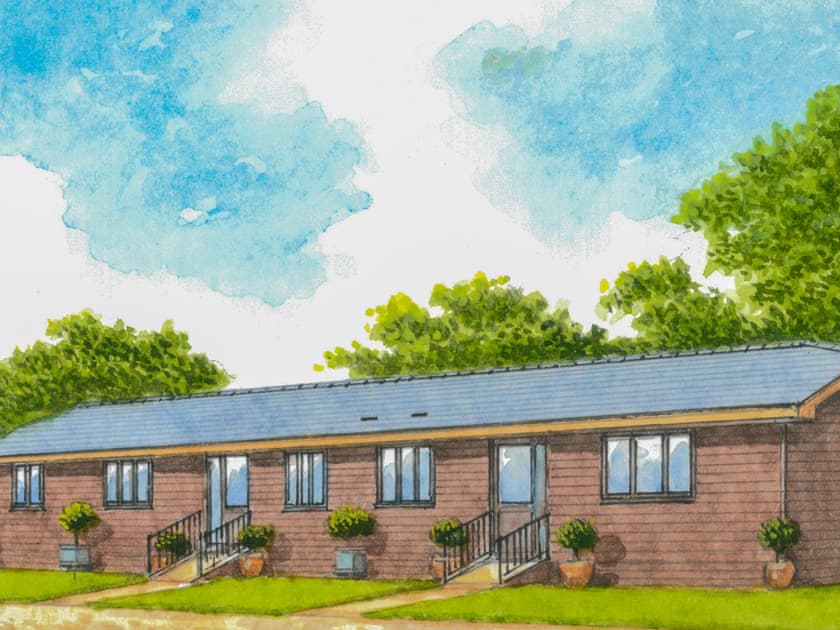 Artist’s Impression | Swallows, Tawny Owls - Tawny Owls and Swallows, Godstone