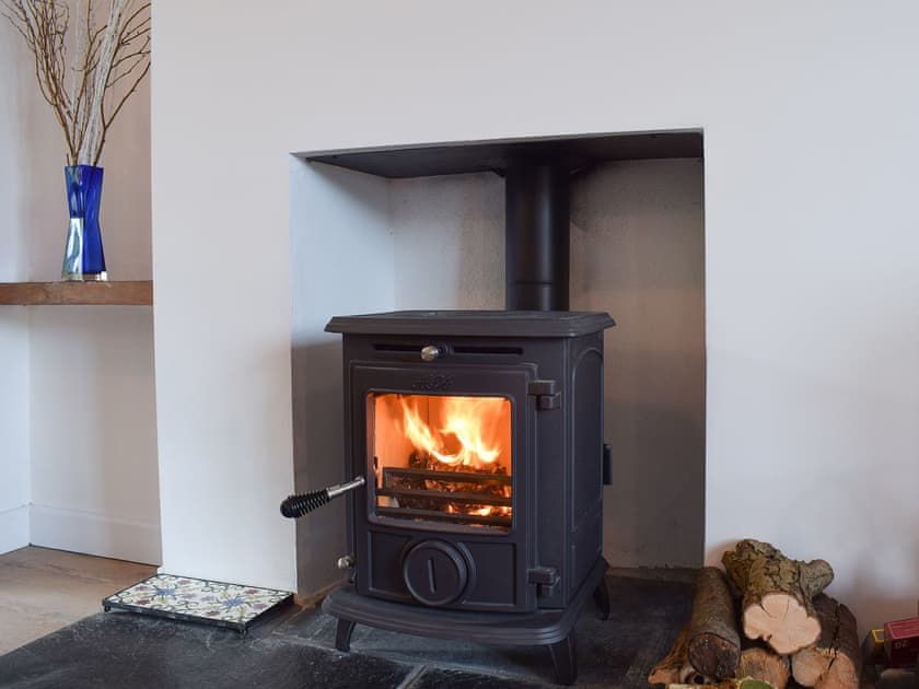 Warm your toes by the wood burner | Glasfor, Llansantffraed, near Aberaeron