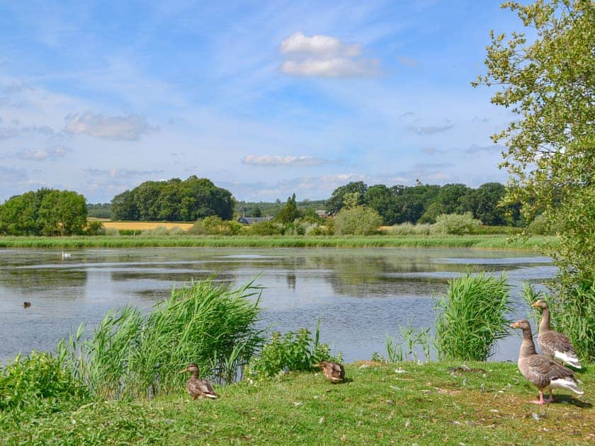 Hirsel Lake  | Ray Bells, Lakeview - The Hirsel, Coldstream