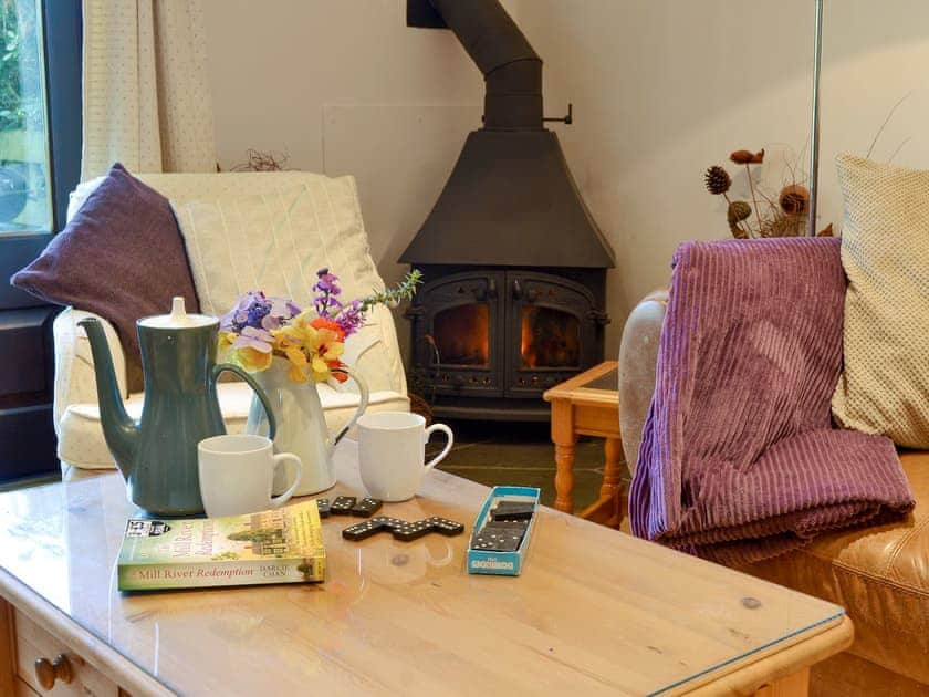 Cosy wood burner in the living room | Clematis Cottage, Derriton, near Holsworthy