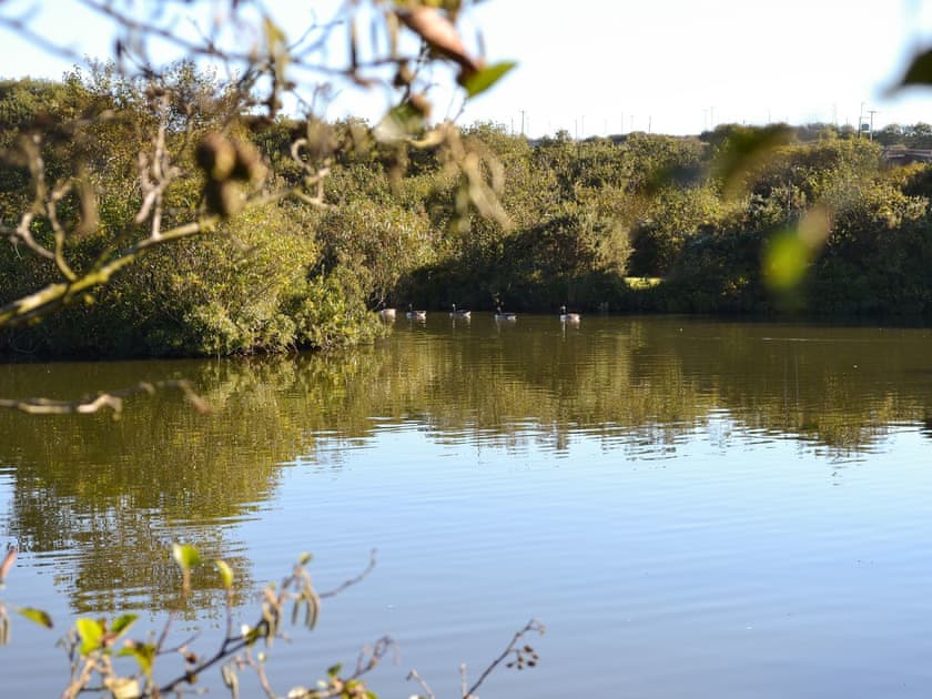 On site lake | Eagle Owl Lodge, St Columb Major, near Padstow
