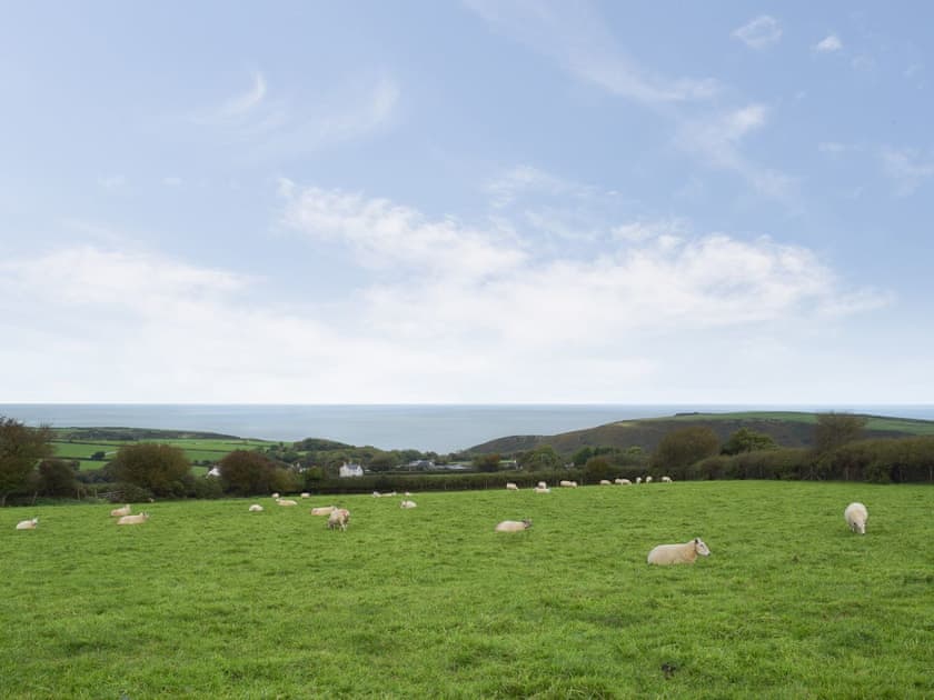 Outstanding views out to sea | Arforwest, Near Llangrannog