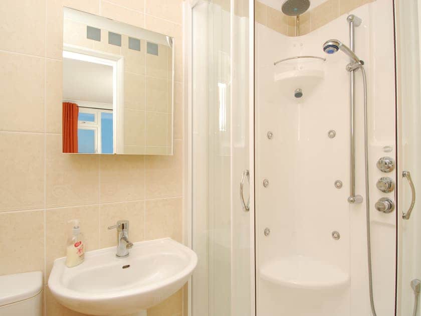 Shower room | Steamer Quay Cottage, Paignton