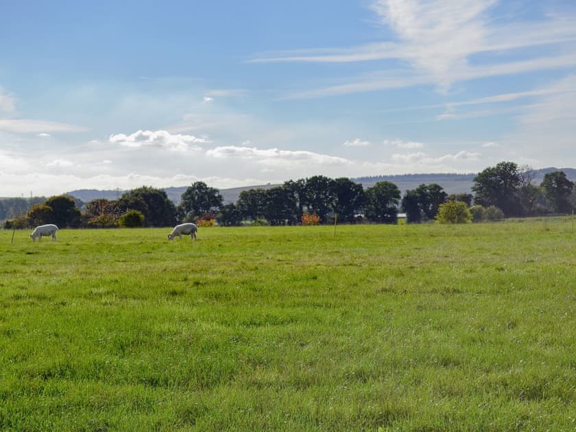 Extensive gardens overlooking the countryside | The Old Bull Pen - Andover Lane Farm, Faberstown, near Andover