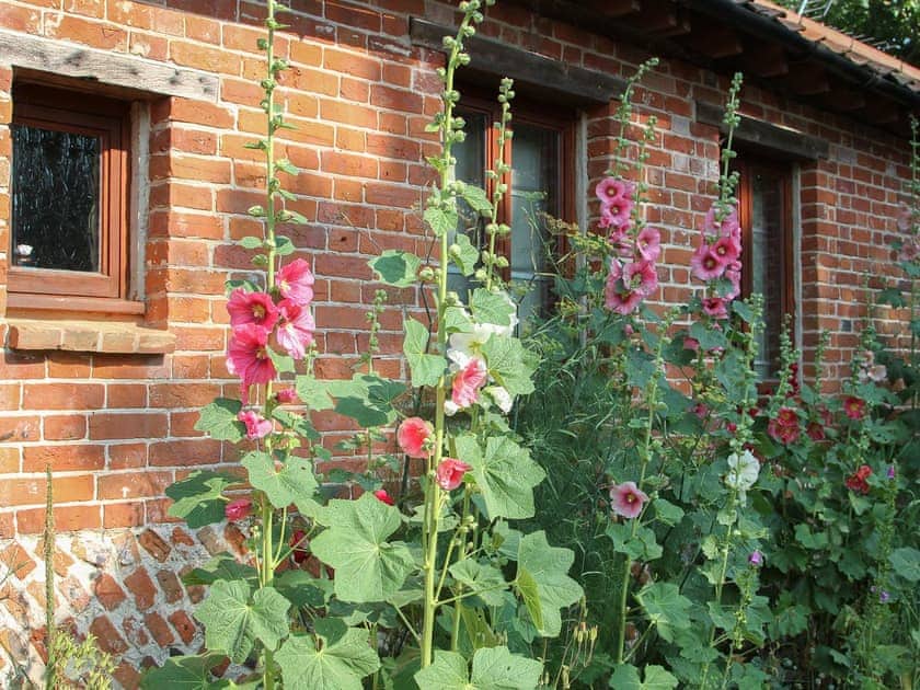 Well stocked flower beds in the gorgeous cottage style garden | Elmtree Barn, Skeyton, near North Walsham