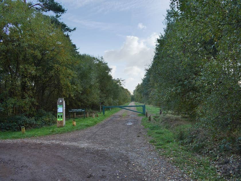 Local Hurn forest | Sid’s Place, Ringwood
