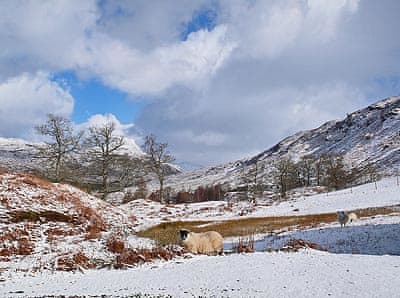 Surrounding area | Coulags Croft, Coulags, Strathcarron