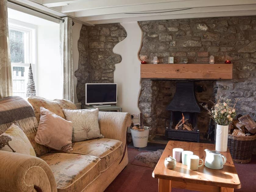 Living room with open fire | Woodlands Cottage, Hook, near Haverfordwest