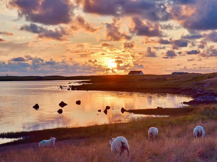 Sunset over the loch and some local inhabitants | Padraig’s Cottage, Howbeg (Tobha Beag), Isle of South Uist