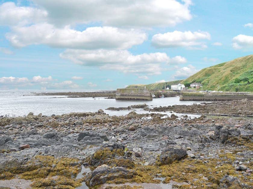 Burnmouth Harbour | Seal View, Burnmouth, near Eyemouth
