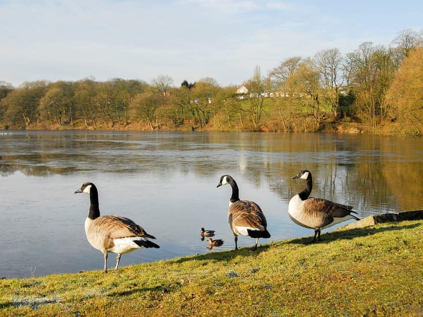 The peaceful and tranquil Worthingtom Reservoir/River Douglas | South Lodge Cottage, Worthington, near Standish