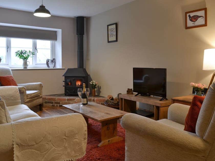 Living room with wood burner | Little WarhamLittle Warham Cottage,  Beaford, near Torrington