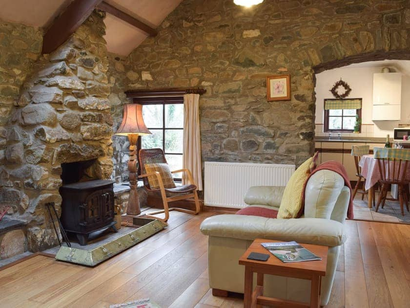 Living room with wood burner | Jemima’s Cottage, Cilshafe, near Fishguard