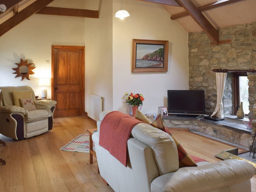 Living room with TV  | Jemima’s Cottage, Cilshafe, near Fishguard