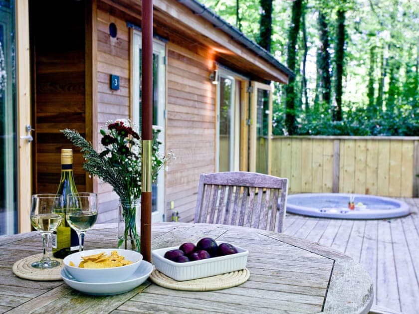 Wonderful secluded outdoor area | Huccaby Lodge - Indio Lake, Bovey Tracey