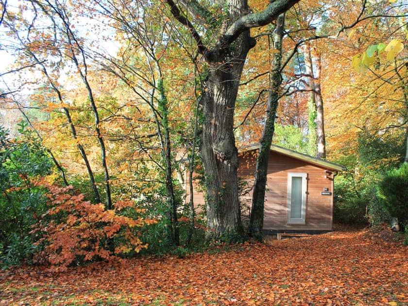 Delightful cabin hidden away in the forest | Kings Lodge, 14 Indio Lake - Indio Lake, Bovey Tracey