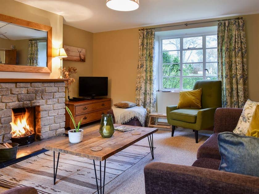 Cosy and warm living room with open fire | Barters Cottage, North Chideock, near Bridport