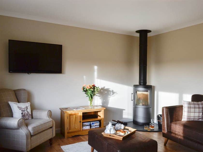 Comfortable living room with wood burner | Hillview, Gateside, near Beith
