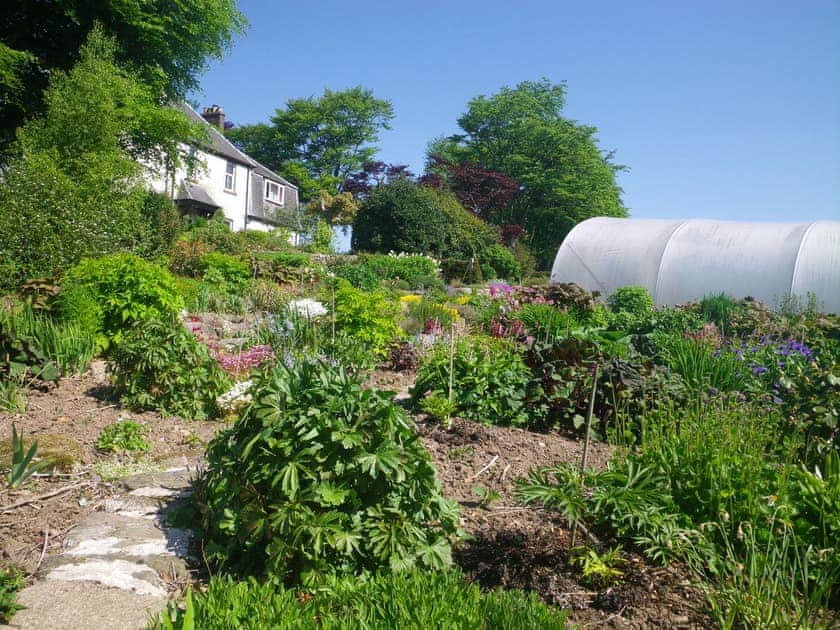 The beautiful gardens in summer | Glensaugh Lodge Apartment, Fettercairn, Laurencekirk