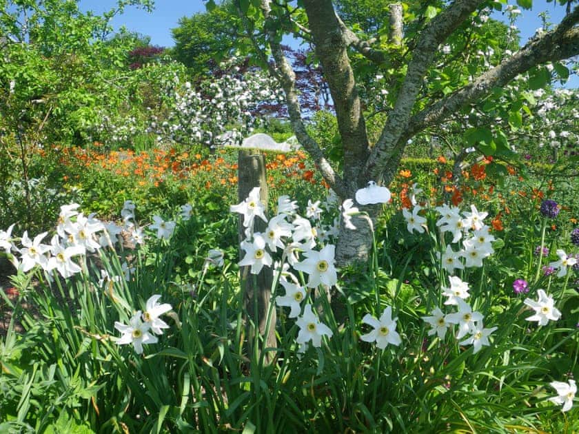 The beautiful gardens in summer | Glensaugh Lodge Apartment, Fettercairn, Laurencekirk