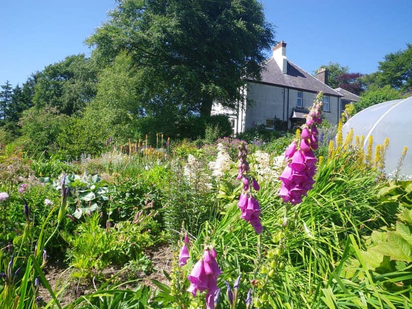 The beautiful gardens in summer | Glensaugh Lodge Apartment, Fettercairn, Laurencekirk