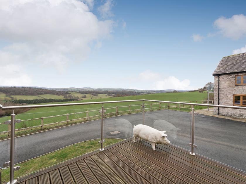 Decking area | Y Beudy, Pwllglas, near Ruthin