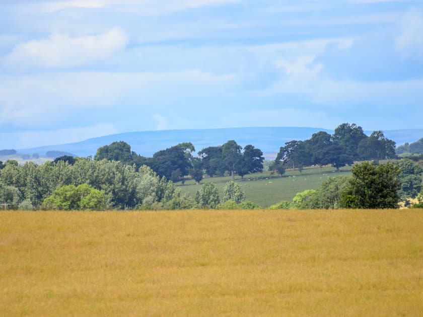 View | Grange Cottage, Ovington, near Richmond