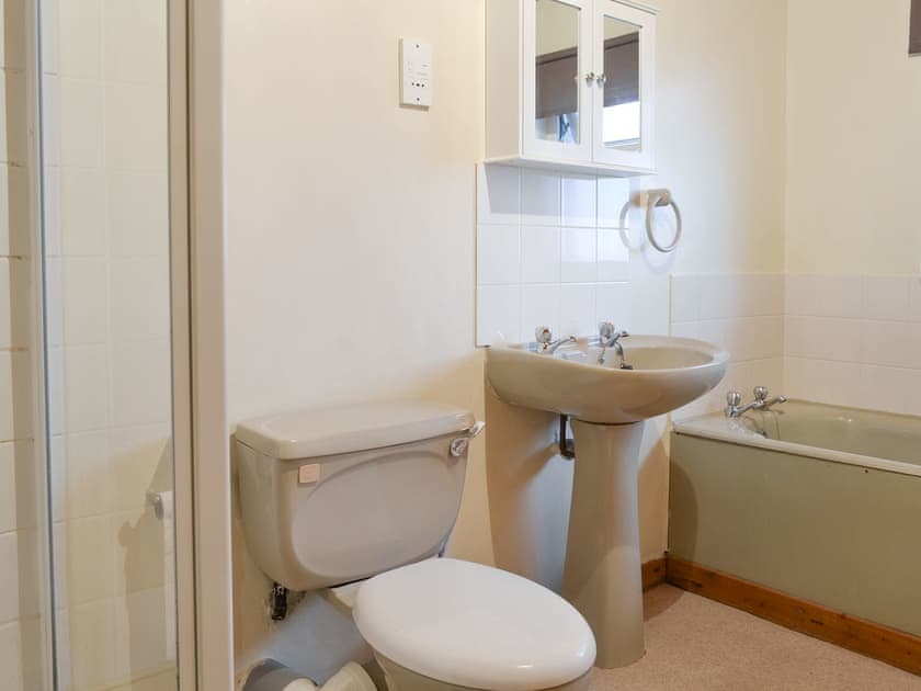 Family bathroom with bath and separate shower cubicle | The Cottage Gallt y Balch, Bodorgan