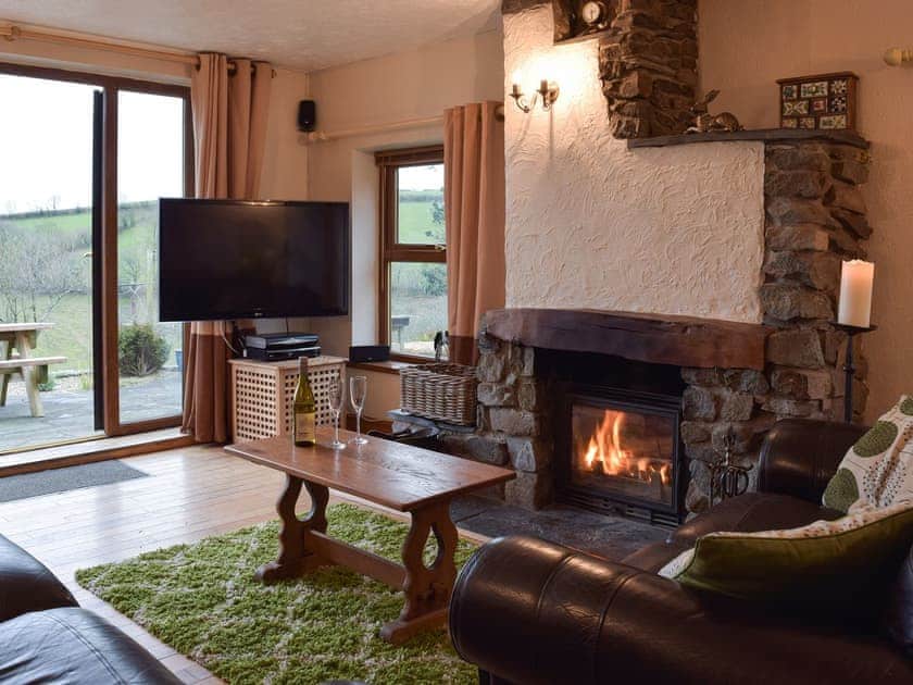Cosy living room with wood burner | Cwmhowell, near Carmarthen