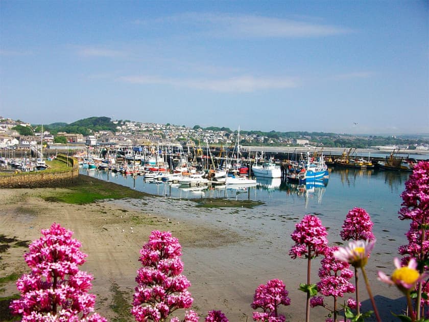 Surrounding area | Salty Cottage, Newlyn, near Penzance