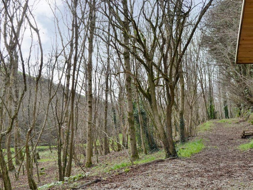 2½-acre natural woodland grounds (shared with owner) | Willow Barn, Polmassick, near St Austell