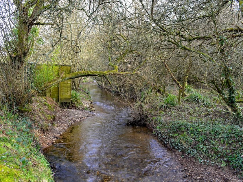 2½-acre natural woodland grounds (shared with owner) | Willow Barn, Polmassick, near St Austell