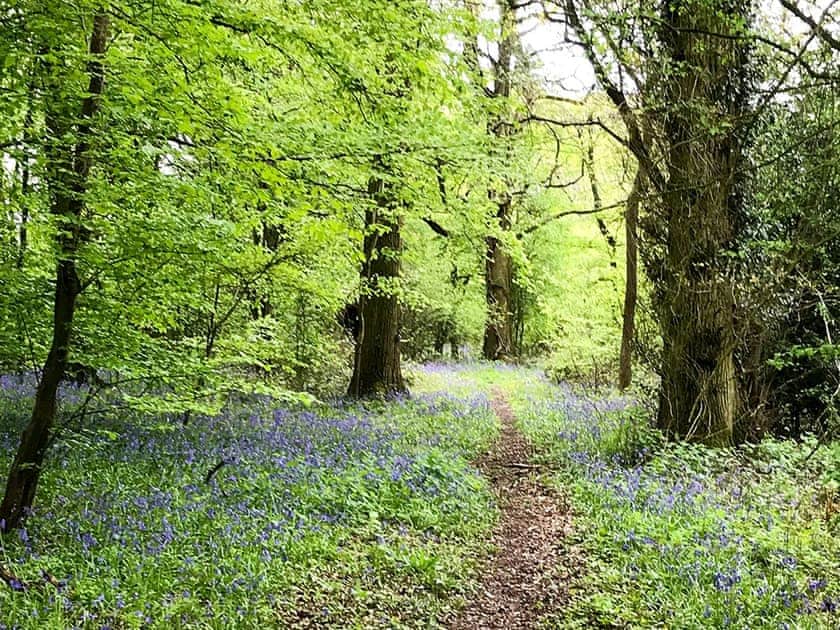 Surrounding area | Holders Cottage, Rudford, near Gloucester