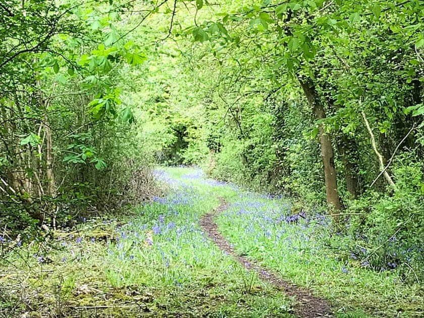 Surrounding area | Holders Cottage, Rudford, near Gloucester
