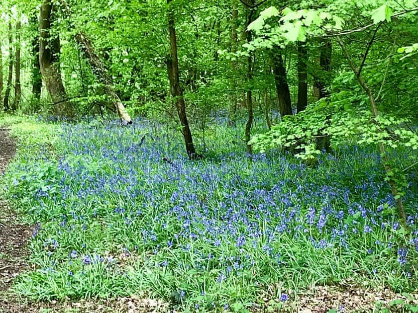 Surrounding area | Holders Cottage, Rudford, near Gloucester