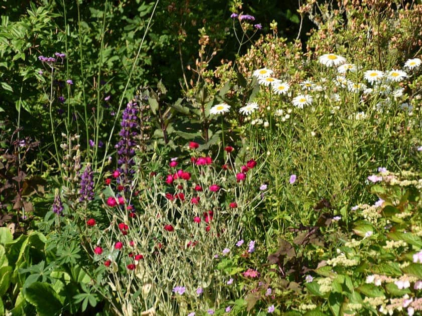Beautiful shared garden and grounds | Tristan’s, Isolda’s - Lanwithan Manor Apartments, Lostwithiel