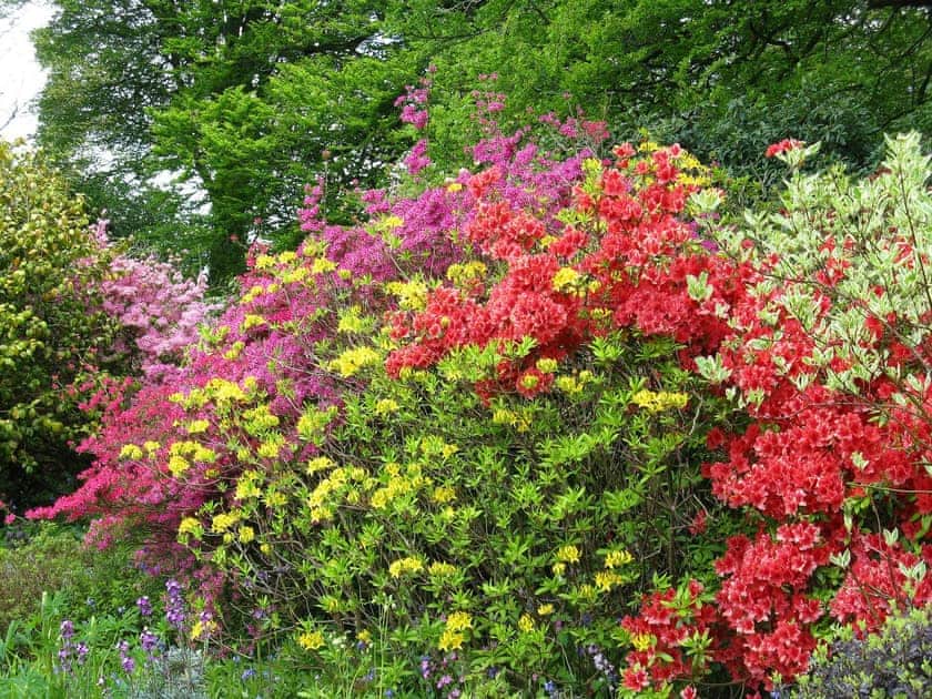 Extensive south facing grounds and borders enjoyed by Tristan’s and Isolda’s | Tristan’s, Isolda’s - Lanwithan Manor Apartments, Lostwithiel
