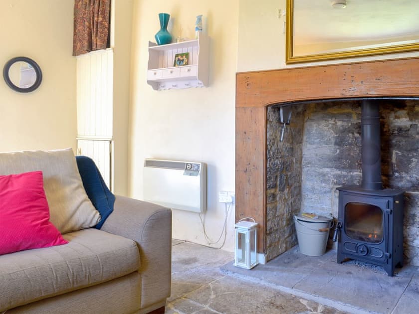 Birch Cottage In Butleigh Near Glastonbury Somerset Book