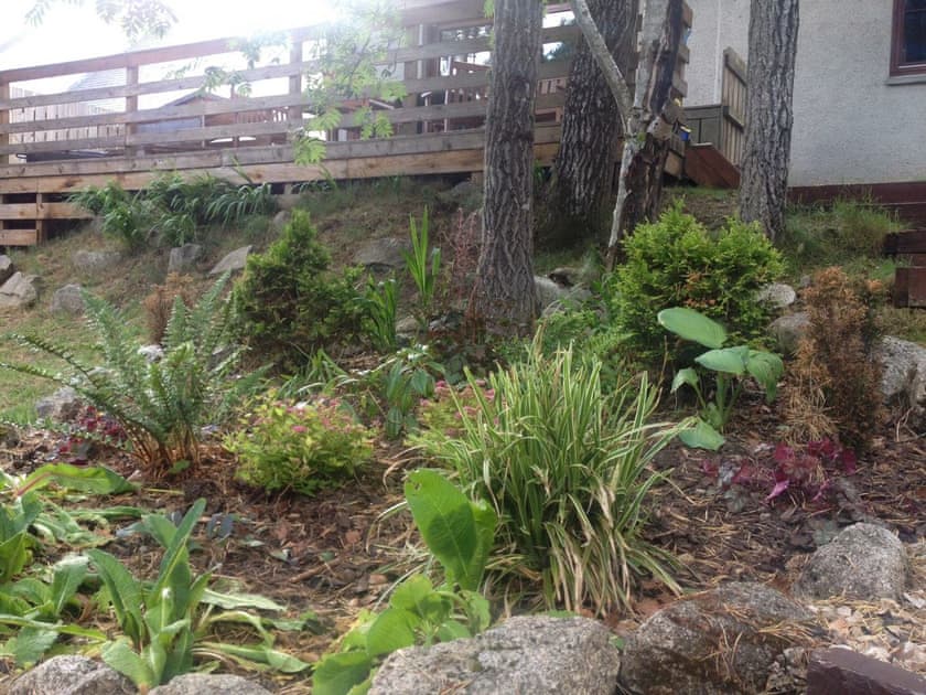 Well maintained garden areas | Woodland Lodge, Boat of Garten, near Aviemore