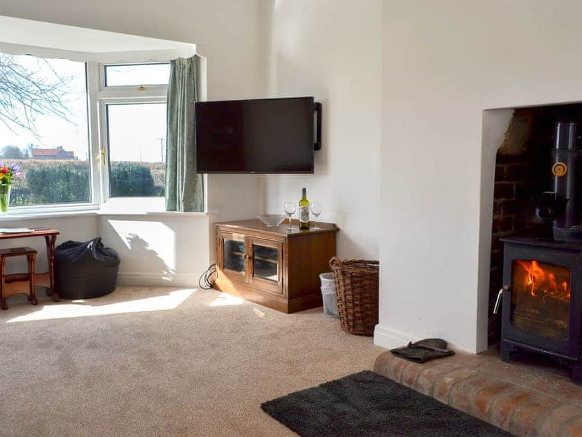 Comfortable and warm living room with wood burner | Wayside Cottage, North Frodingham, near Driffield